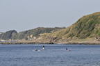 D2012069_041H