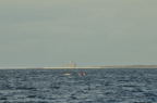 D2012070_021H