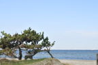 D2012071_003H