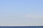 D2012071_009H