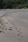 D2012076_004V