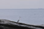 D2012076_008H