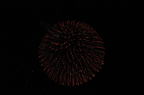 D2012077_170H