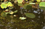 D2012079_008H
