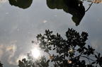 D2012079_009H