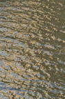 D2012079_026V