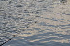 D2012079_028H