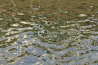 D2012079_040H