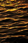 D2012079_079V