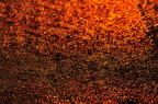 D2012079_089H