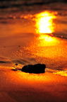 D2012079_097V