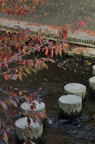 D2012085_004V