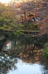 D2012085_013V