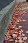 D2012085_018V