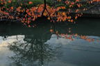 D2012085_023H