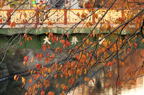 D2012085_031H