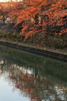D2012085_035V