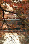 D2012085_039V