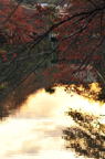 D2012085_043V