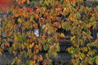 D2012085_048H