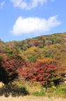 D2012086_012V