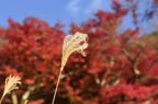 D2012086_017H