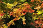 D2012086_036H