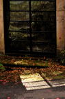 D2012086_041V