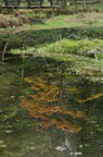 D2012086_081V
