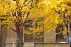 D2012087_005H