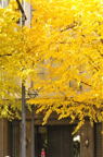 D2012087_006V