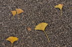 D2012087_008H