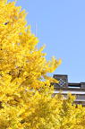D2012087_024V