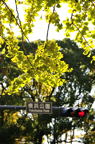 D2012087_033V