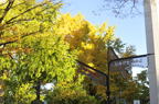 D2012088_005H