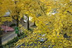 D2012088_033H