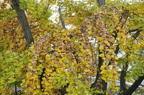 D2012088_048H