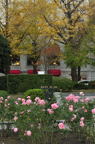 D2012088_077V