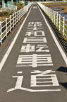 D2012091_019V