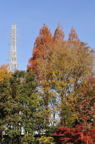 D2012091_048V