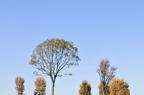 D2012091_061H