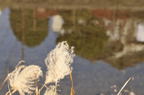 D2012091_092H