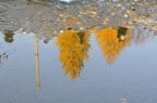 D2012091_198H