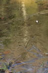 D2012093_019V