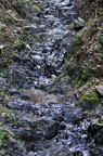 D2012093_045V