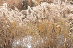 D2012093_086H