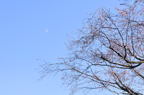 D2012093_110H