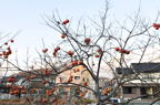 D2012093_174H