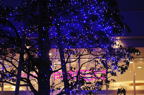 D2012094_032H