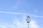 D2013001_056H